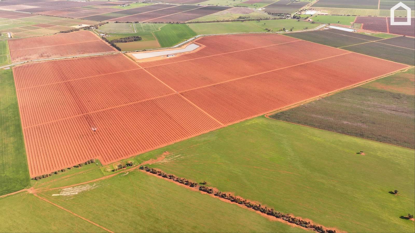 1625 Myall Park Road, Myall Park For Sale by Farmbuy.com - image 2