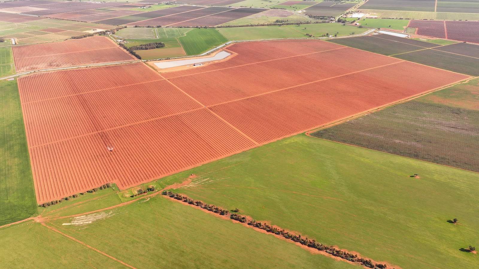 1625 Myall Park Road, Myall Park For Sale by Farmbuy.com - image 2