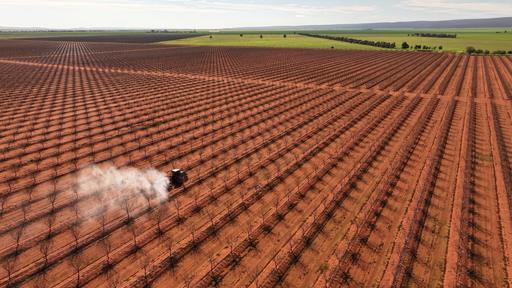 Farm For Sale - NSW - Myall Park - 2681 - 