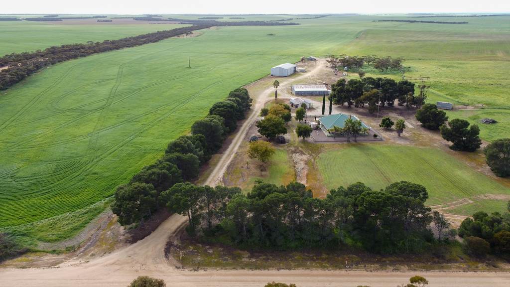 256 Dennis Road, Lock SA 5633