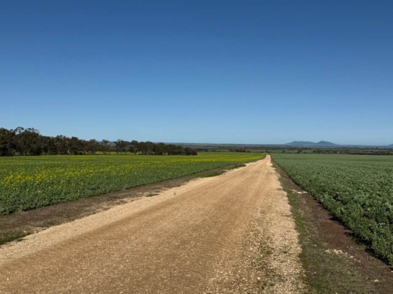 534 Lawrence Road, Kapinnie For Sale by Farmbuy.com - image 30