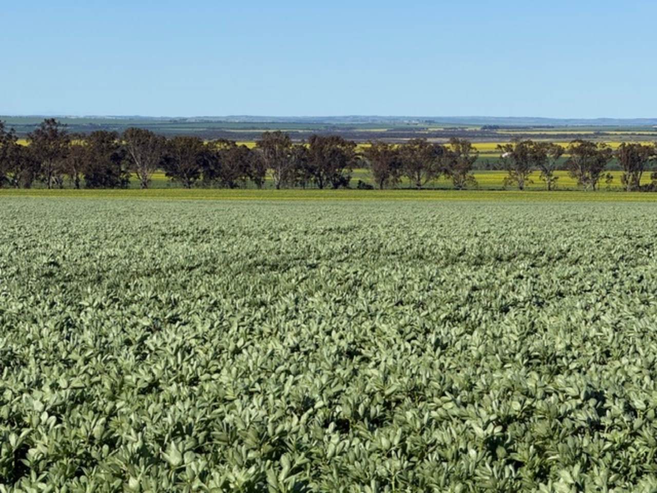 534 Lawrence Road, Kapinnie For Sale by Farmbuy.com - image 9