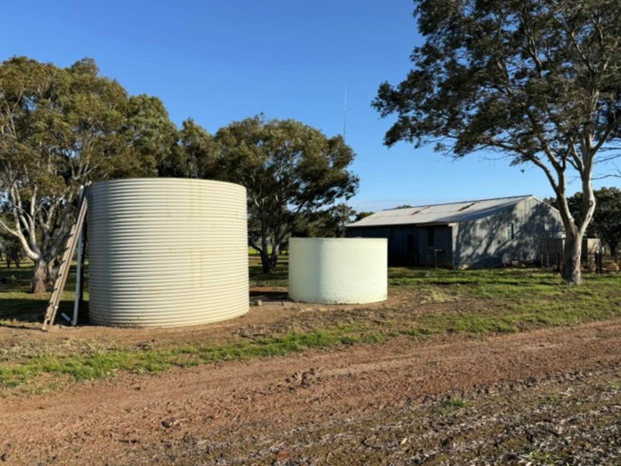 534 Lawrence Road, Kapinnie For Sale by Farmbuy.com - image 17