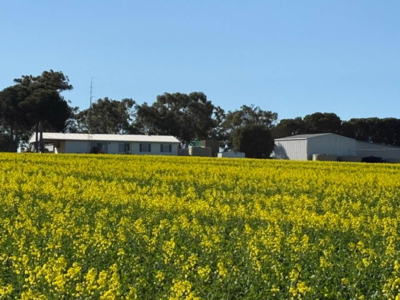 534 Lawrence Road, Kapinnie For Sale by Farmbuy.com - image 5
