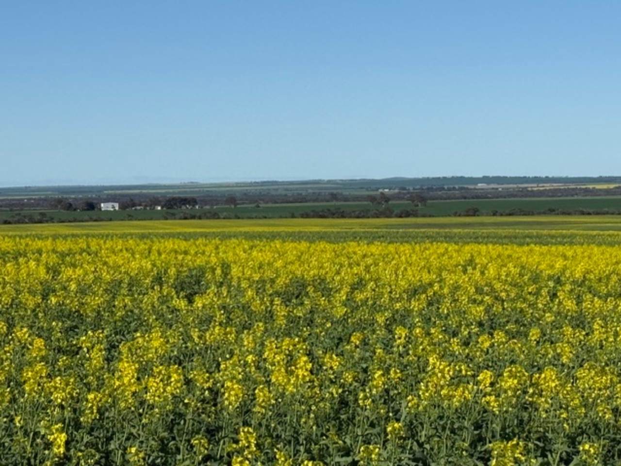 534 Lawrence Road, Kapinnie For Sale by Farmbuy.com - image 7
