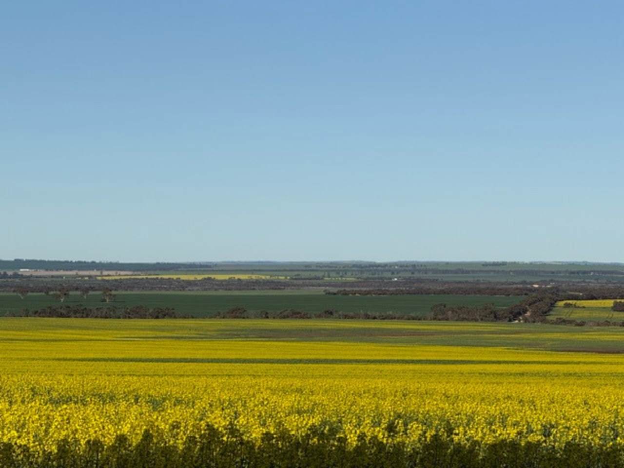 534 Lawrence Road, Kapinnie For Sale by Farmbuy.com - image 32