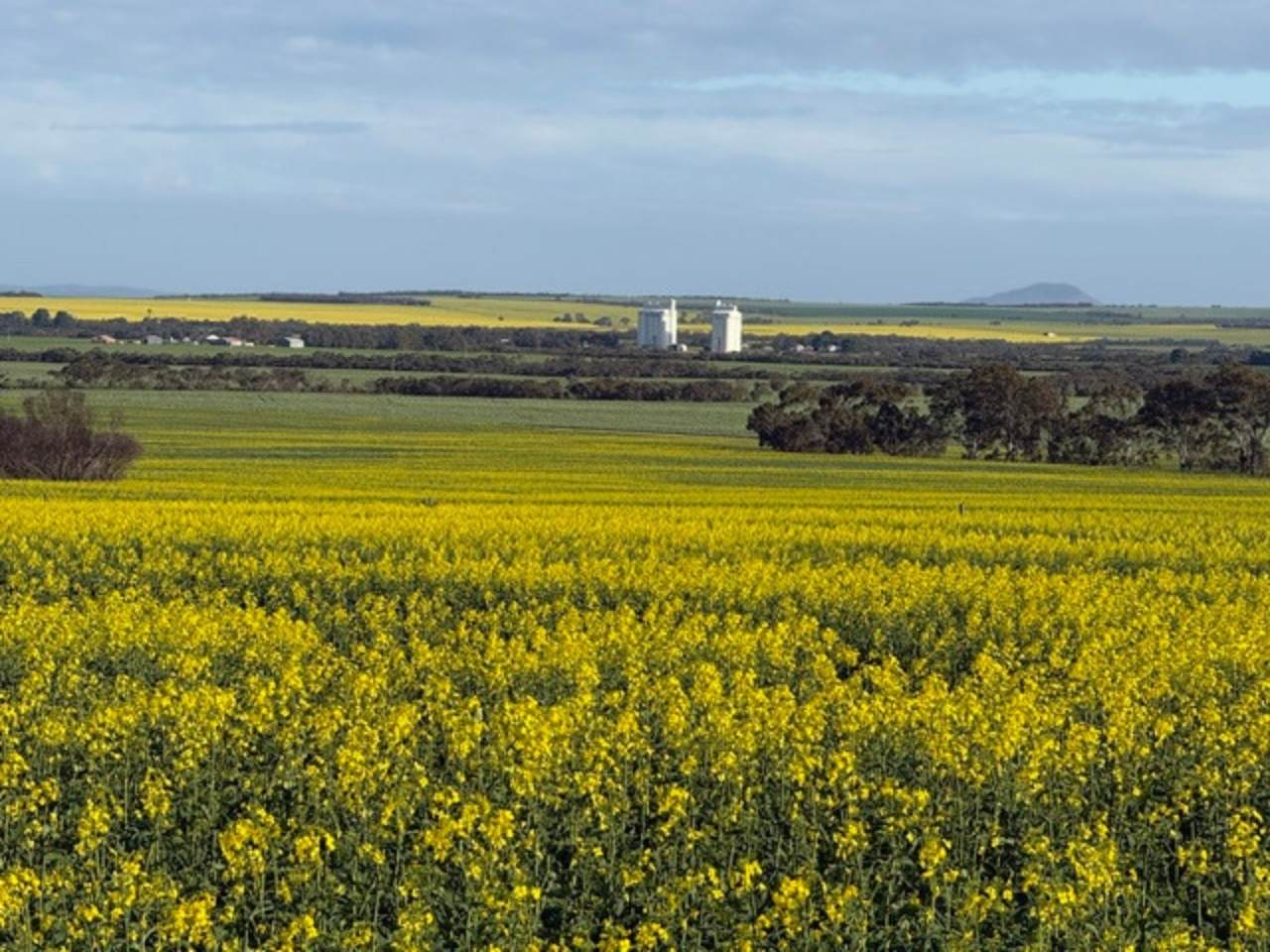 534 Lawrence Road, Kapinnie For Sale by Farmbuy.com - image 6
