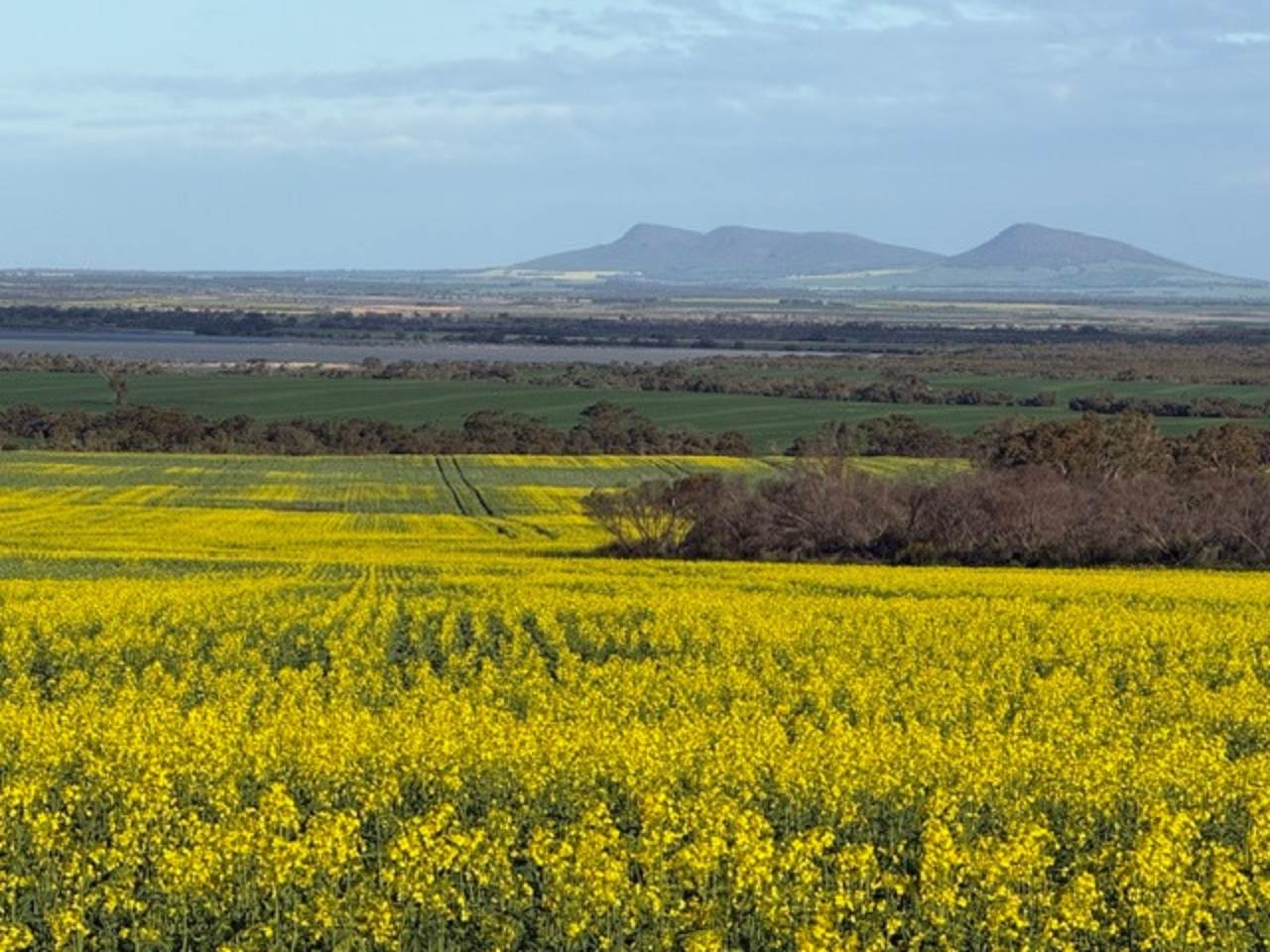 534 Lawrence Road, Kapinnie For Sale by Farmbuy.com - image 2