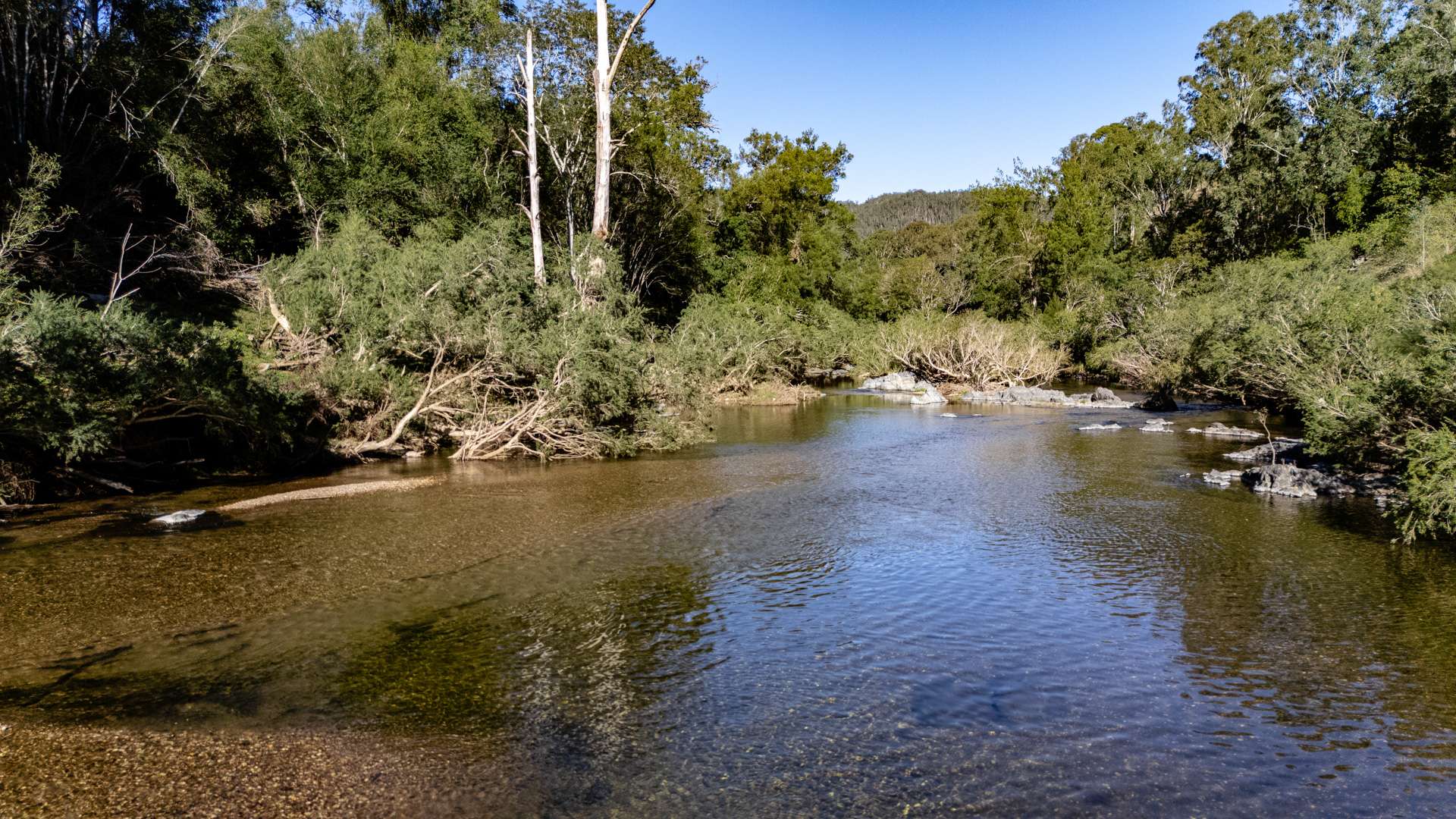 'Ted's Estate' Lots 17,18,125, 126 Cells Road, Cells River For Sale by Farmbuy.com - image 17