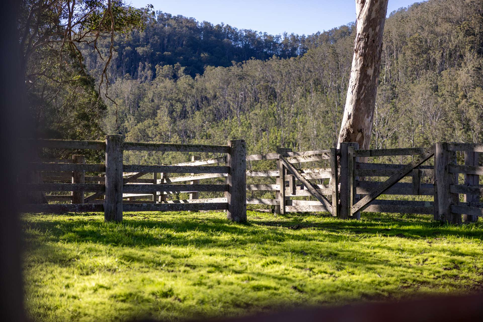 'Ted's Estate' Lots 17,18,125, 126 Cells Road, Cells River For Sale by Farmbuy.com - image 4