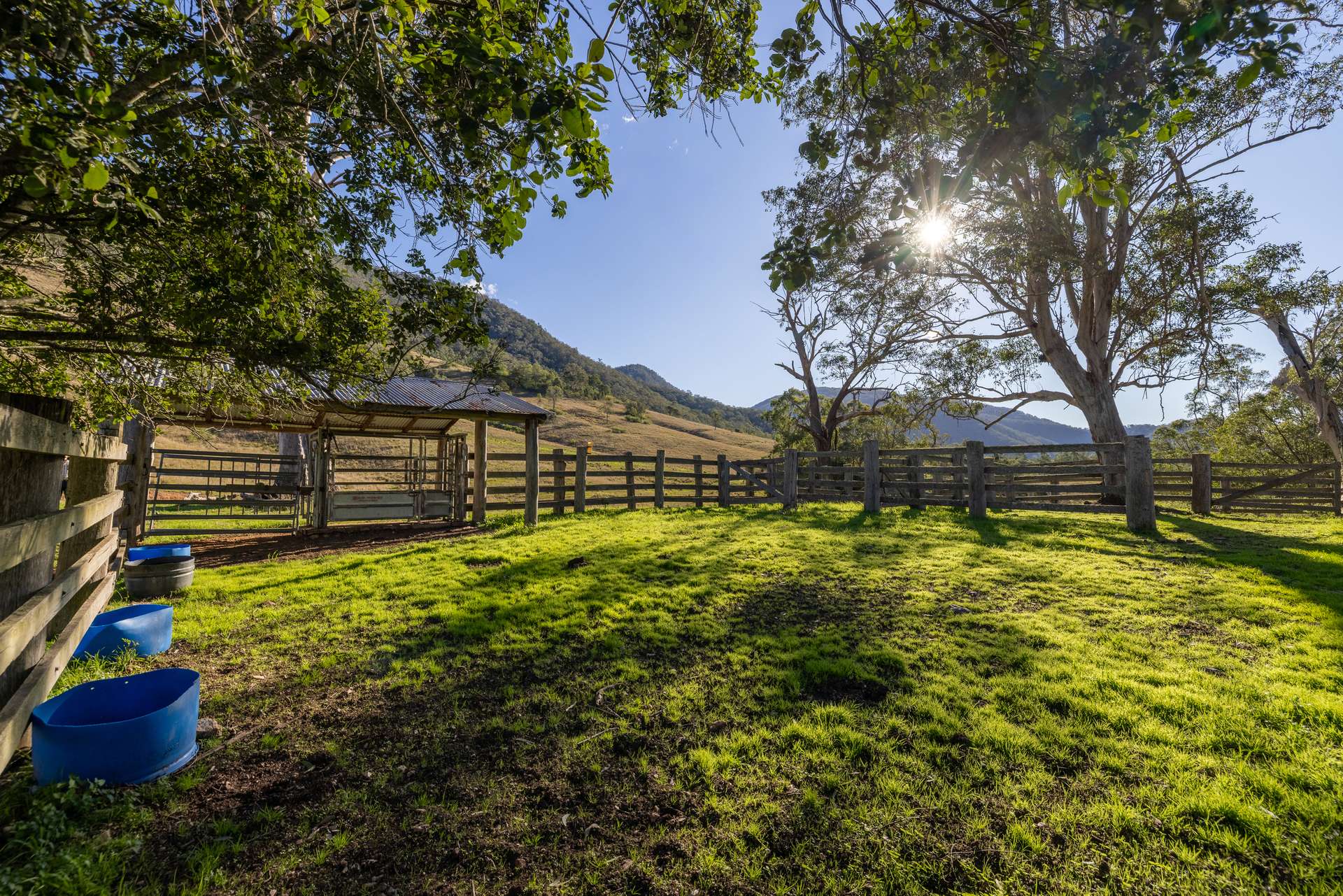 'Ted's Estate' Lots 17,18,125, 126 Cells Road, Cells River For Sale by Farmbuy.com - image 3