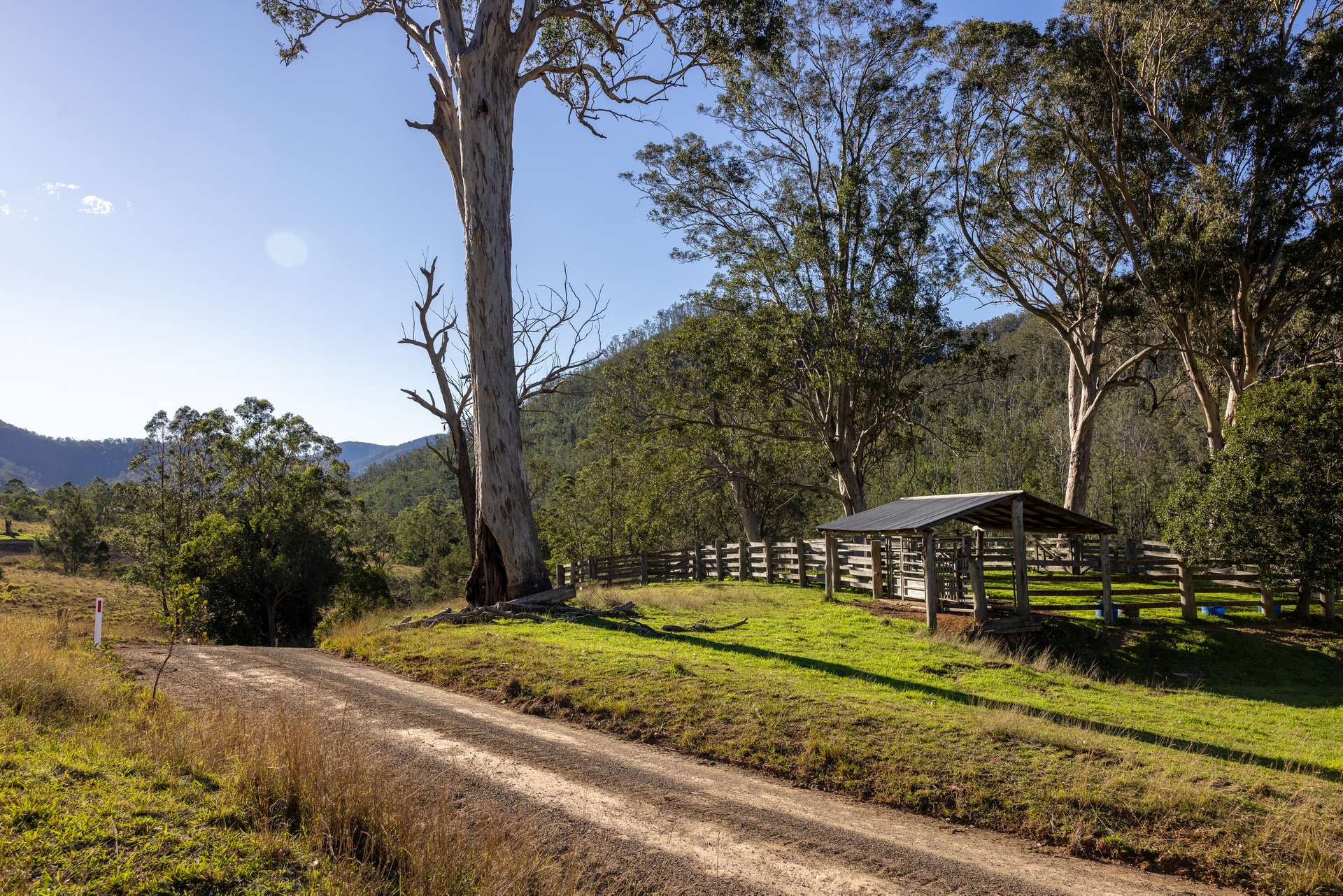 'Ted's Estate' Lots 17,18,125, 126 Cells Road, Cells River For Sale by Farmbuy.com - image 5