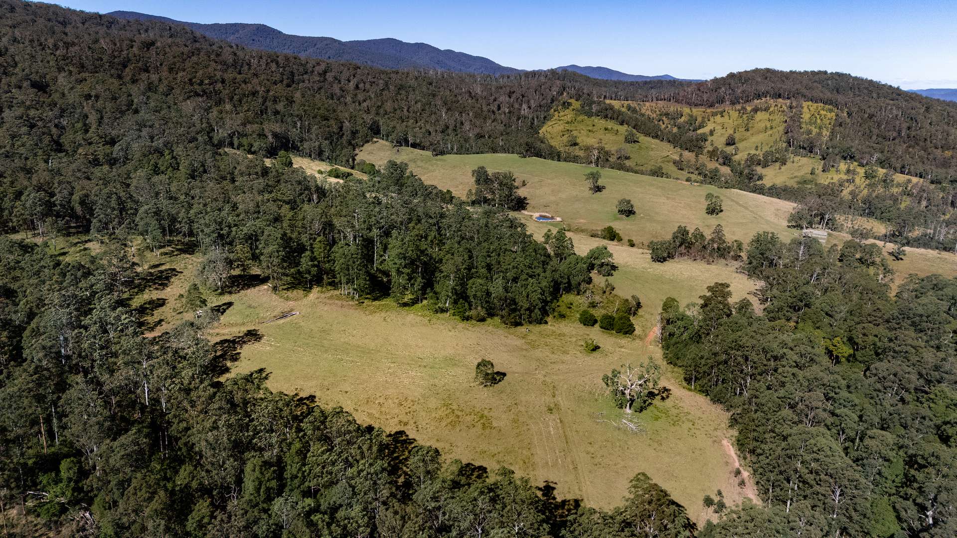 'Ted's Estate' Lots 17,18,125, 126 Cells Road, Cells River For Sale by Farmbuy.com - image 6