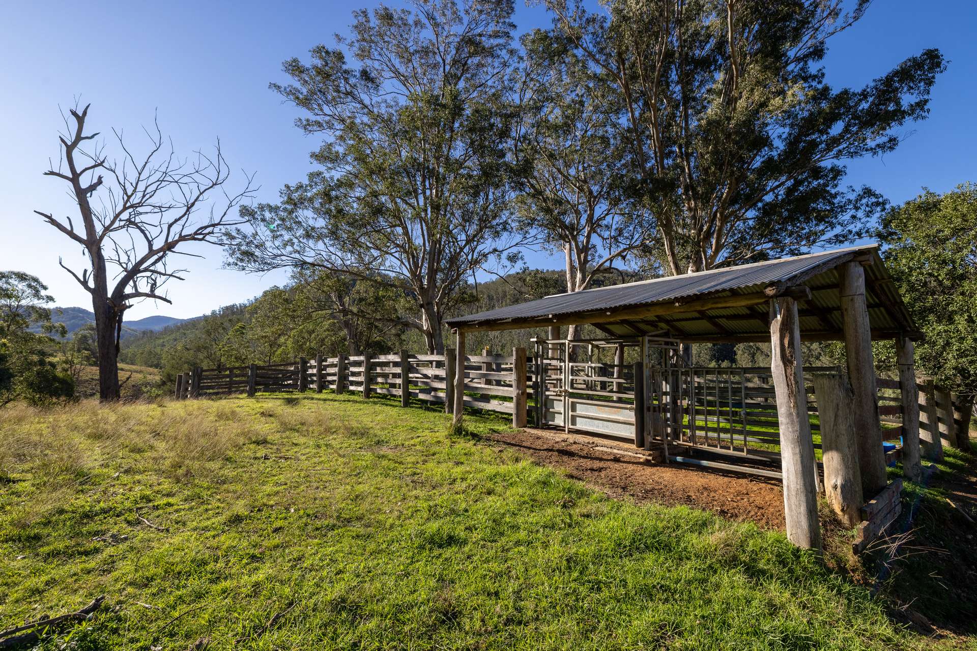 'Ted's Estate' Lots 17,18,125, 126 Cells Road, Cells River For Sale by Farmbuy.com - image 2