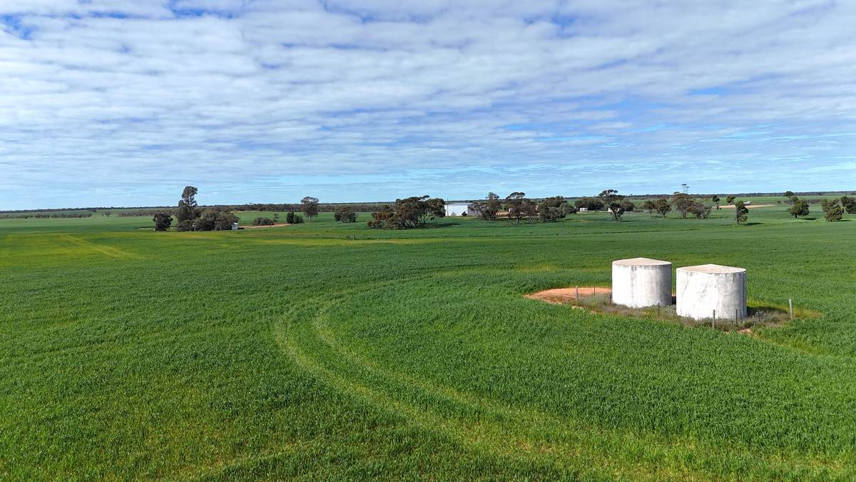 'Brylee Park' 299 Barry Road, Manangatang For Sale by Farmbuy.com - image 10