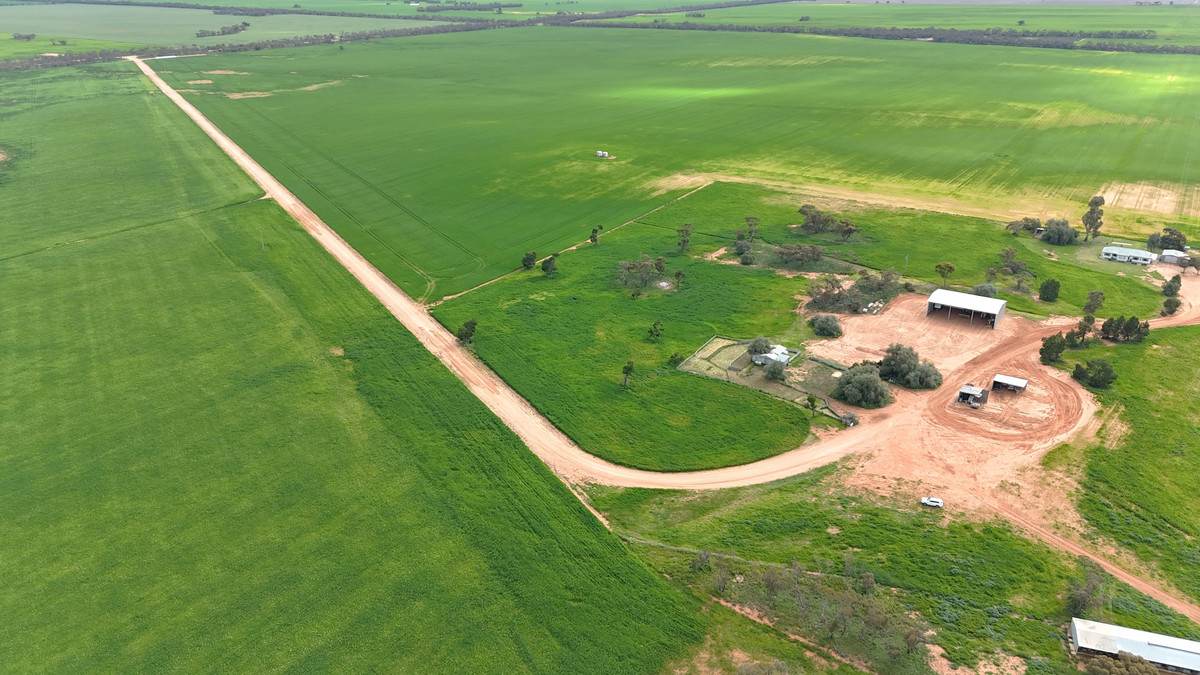 'Brylee Park' 299 Barry Road, Manangatang For Sale by Farmbuy.com - image 15
