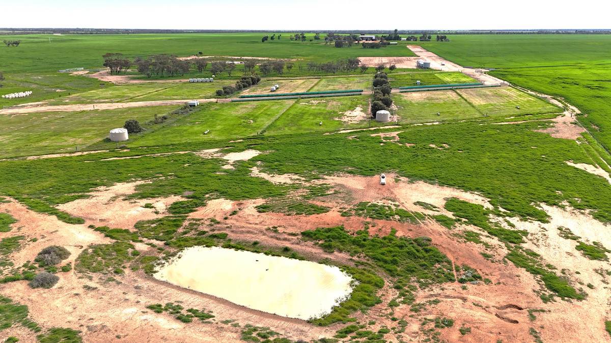 'Brylee Park' 299 Barry Road, Manangatang For Sale by Farmbuy.com - image 16