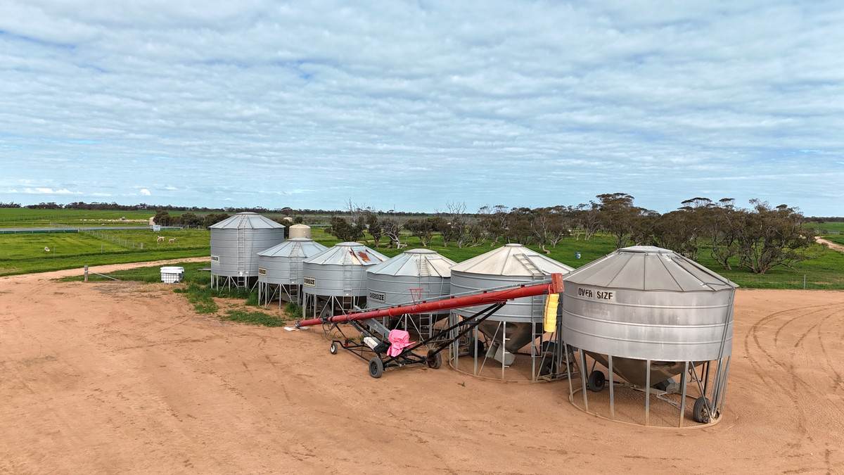 'Brylee Park' 299 Barry Road, Manangatang For Sale by Farmbuy.com - image 25