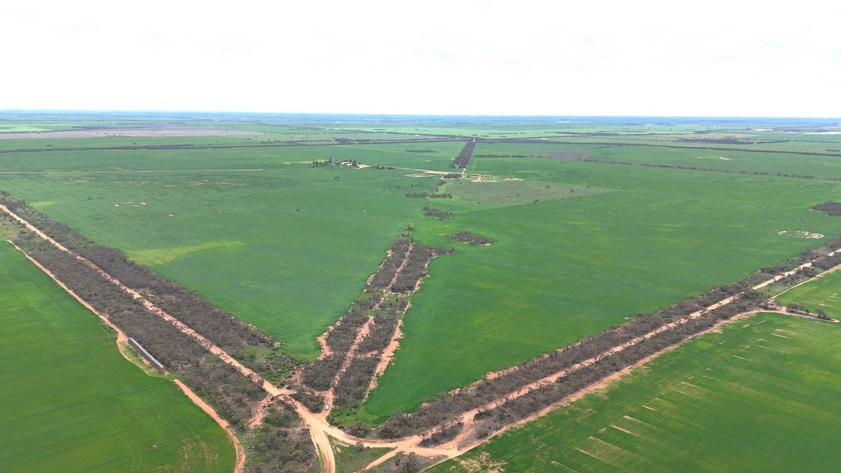 'Brylee Park' 299 Barry Road, Manangatang For Sale by Farmbuy.com - image 14