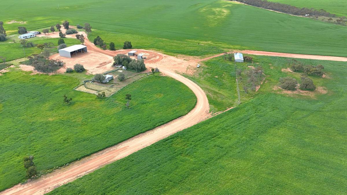 'Brylee Park' 299 Barry Road, Manangatang For Sale by Farmbuy.com - image 18