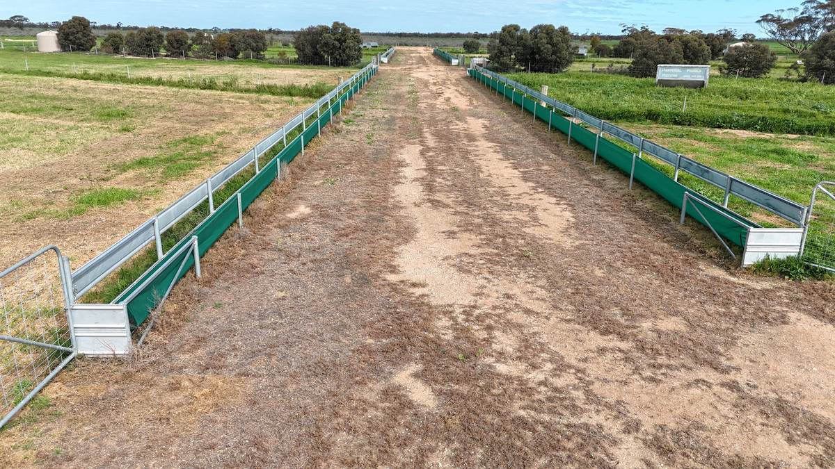 'Brylee Park' 299 Barry Road, Manangatang For Sale by Farmbuy.com - image 21