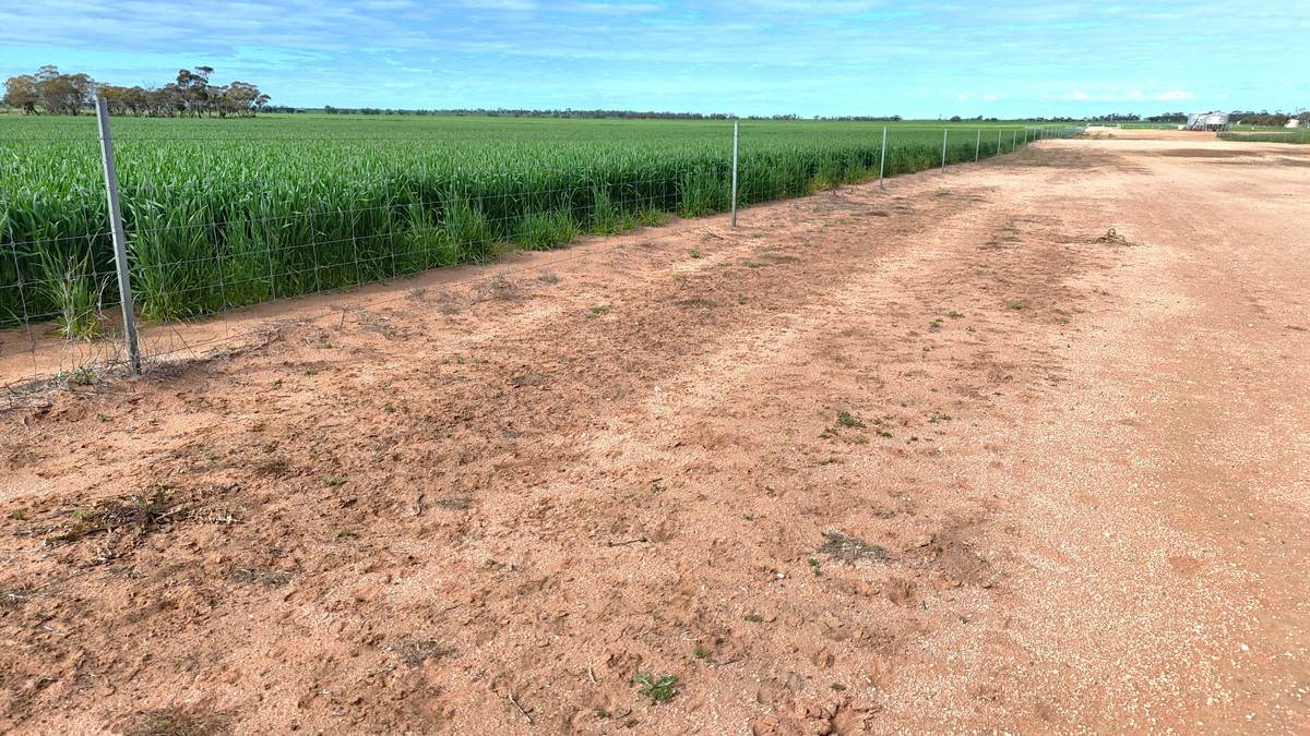 'Brylee Park' 299 Barry Road, Manangatang For Sale by Farmbuy.com - image 24