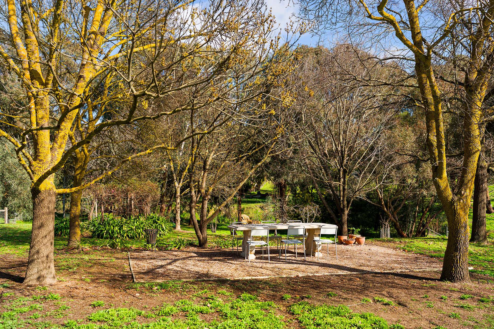 9 Mitchell Parade, Castlemaine For Sale by Farmbuy.com - image 26