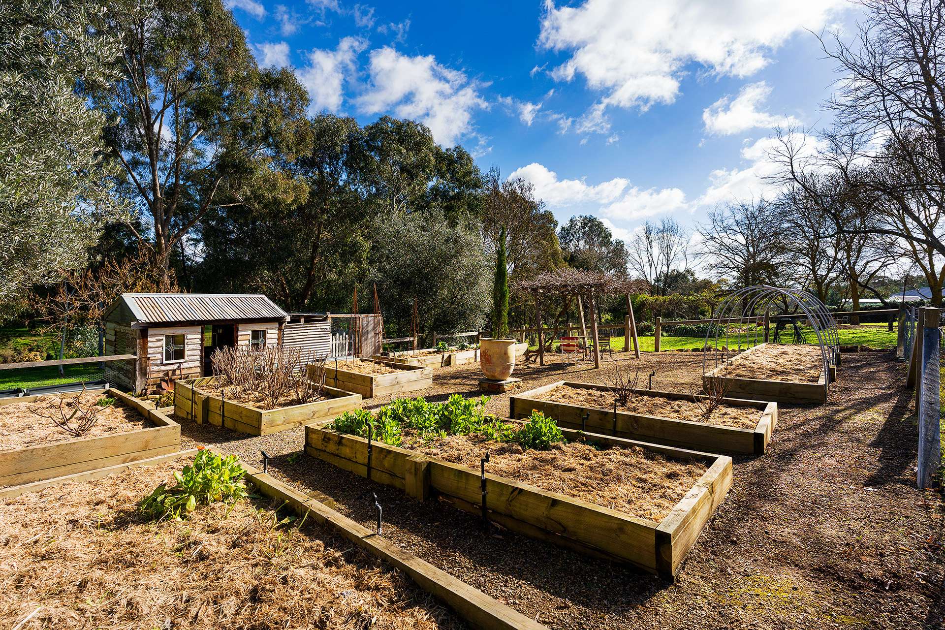 9 Mitchell Parade, Castlemaine For Sale by Farmbuy.com - image 25