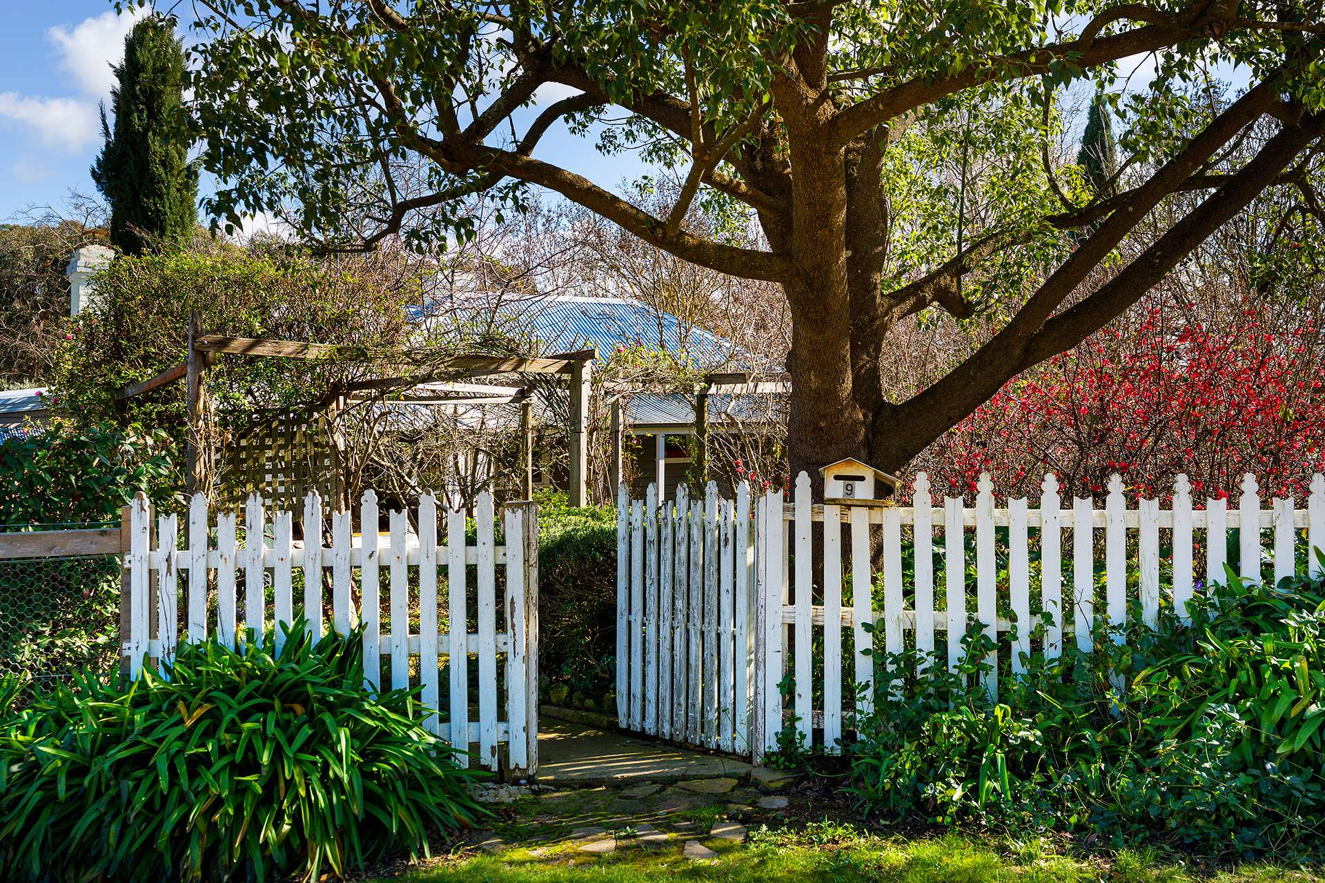 9 Mitchell Parade, Castlemaine For Sale by Farmbuy.com - image 30