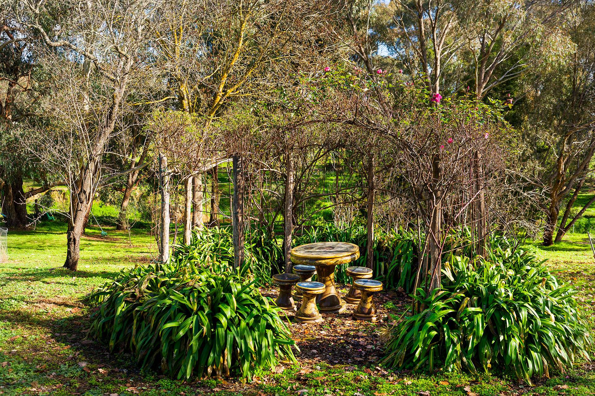 9 Mitchell Parade, Castlemaine For Sale by Farmbuy.com - image 27