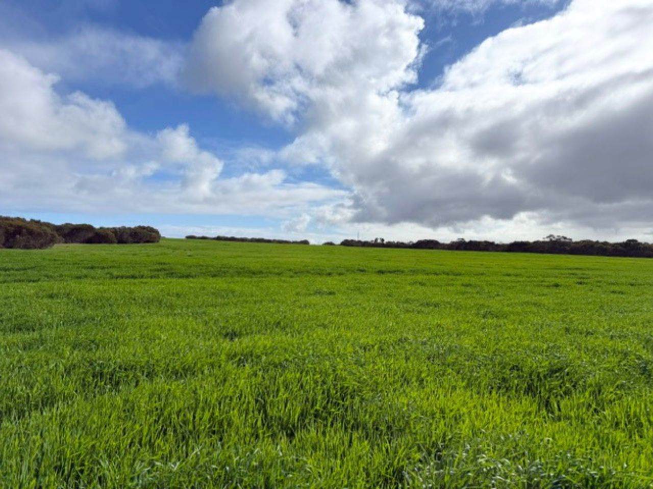 8765 Flinders Highway, Mount Hope For Sale by Farmbuy.com - image 21