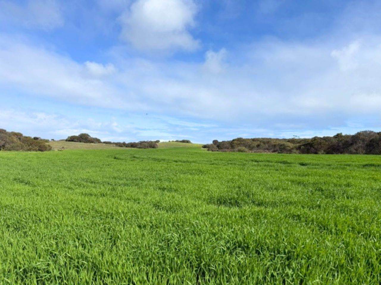 8765 Flinders Highway, Mount Hope For Sale by Farmbuy.com - image 22