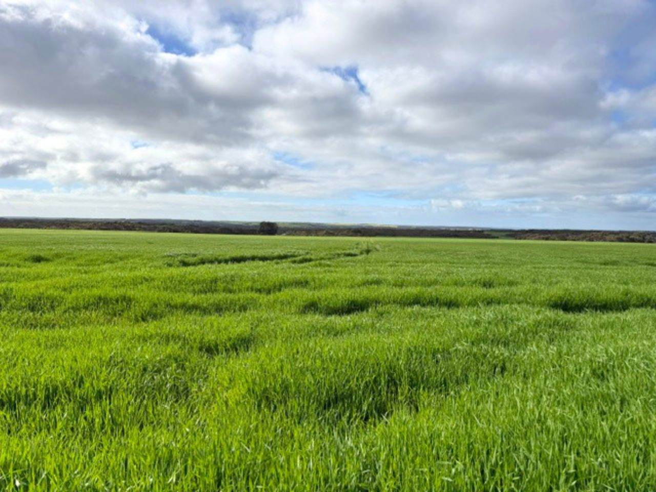 8765 Flinders Highway, Mount Hope For Sale by Farmbuy.com - image 20