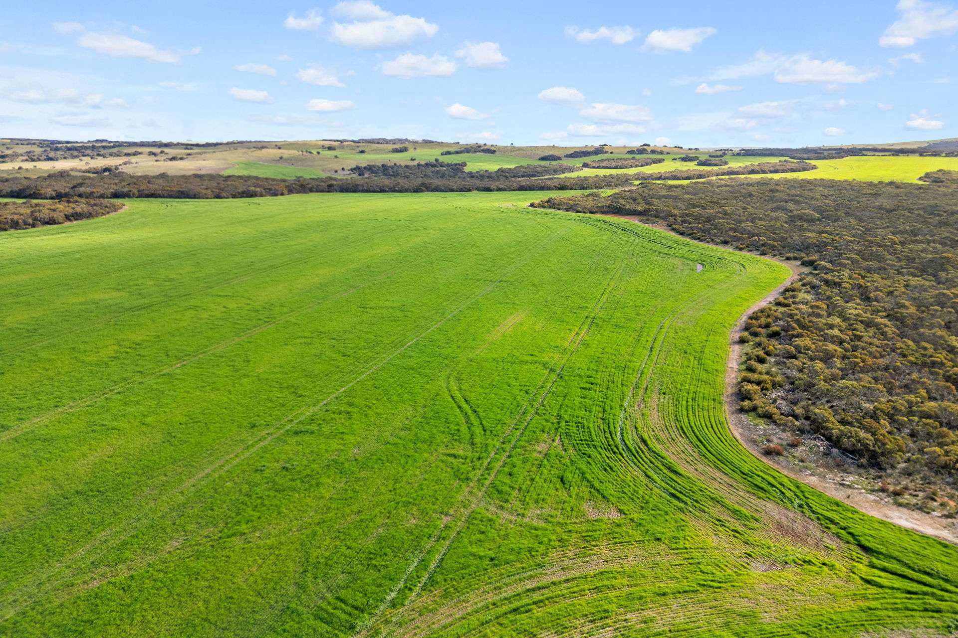8765 Flinders Highway, Mount Hope For Sale by Farmbuy.com - image 4