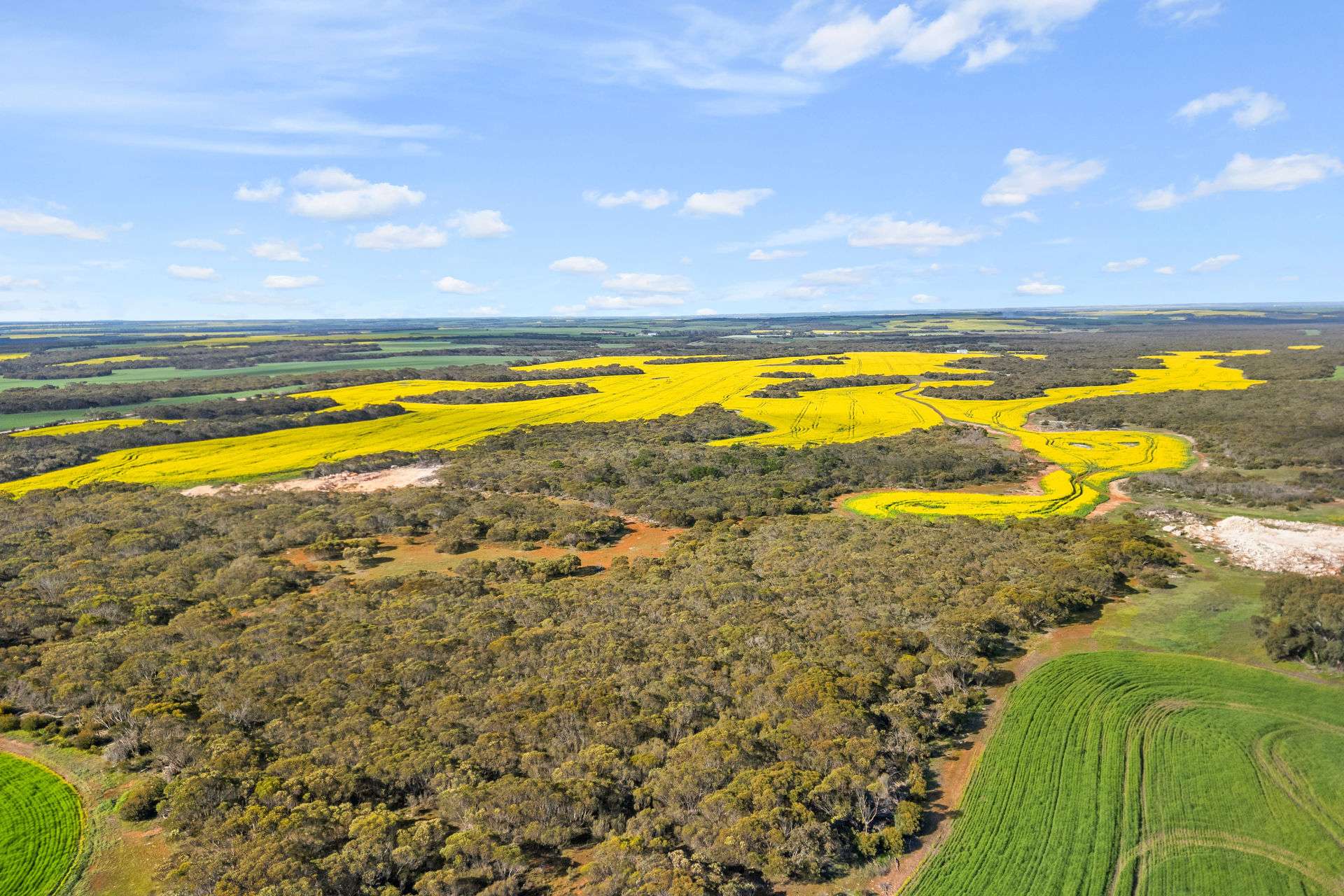 8765 Flinders Highway, Mount Hope For Sale by Farmbuy.com - image 10
