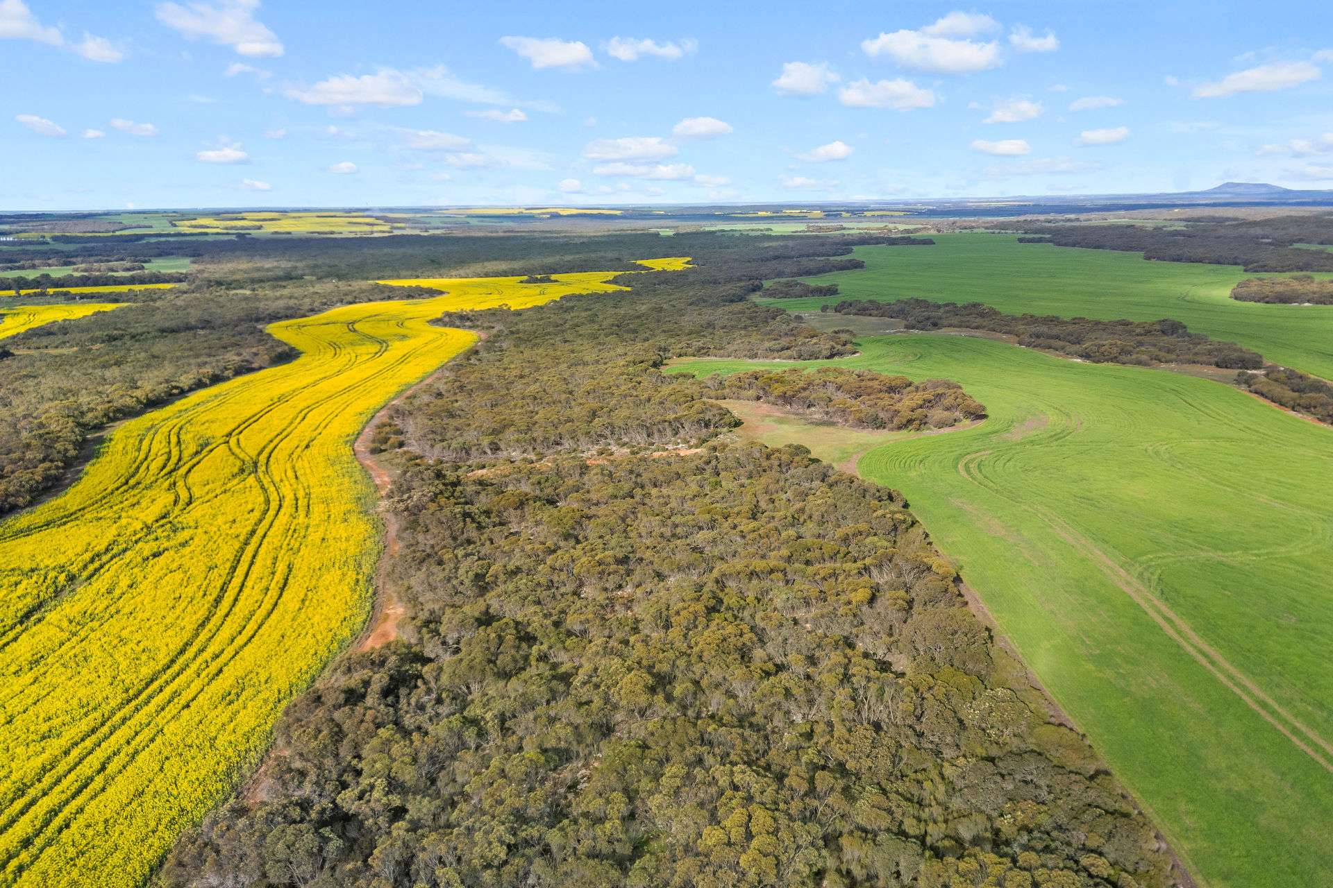 8765 Flinders Highway, Mount Hope For Sale by Farmbuy.com - image 16