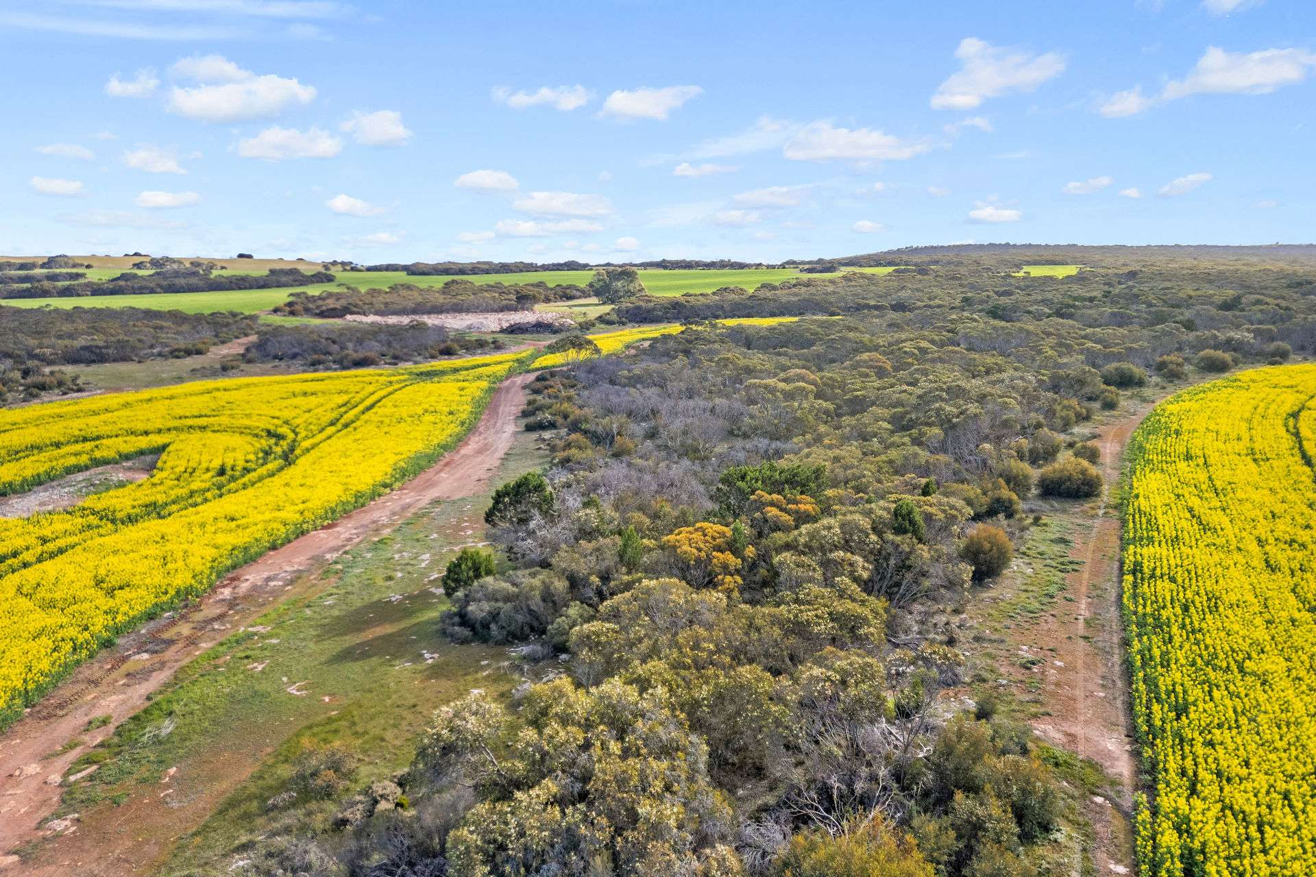 8765 Flinders Highway, Mount Hope For Sale by Farmbuy.com - image 17
