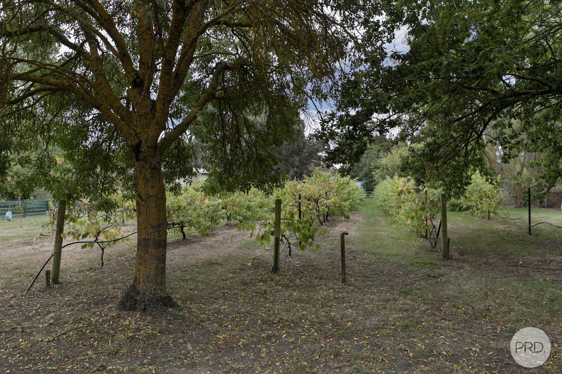 479 Bells Road, Smythes Creek For Sale by Farmbuy.com - image 24