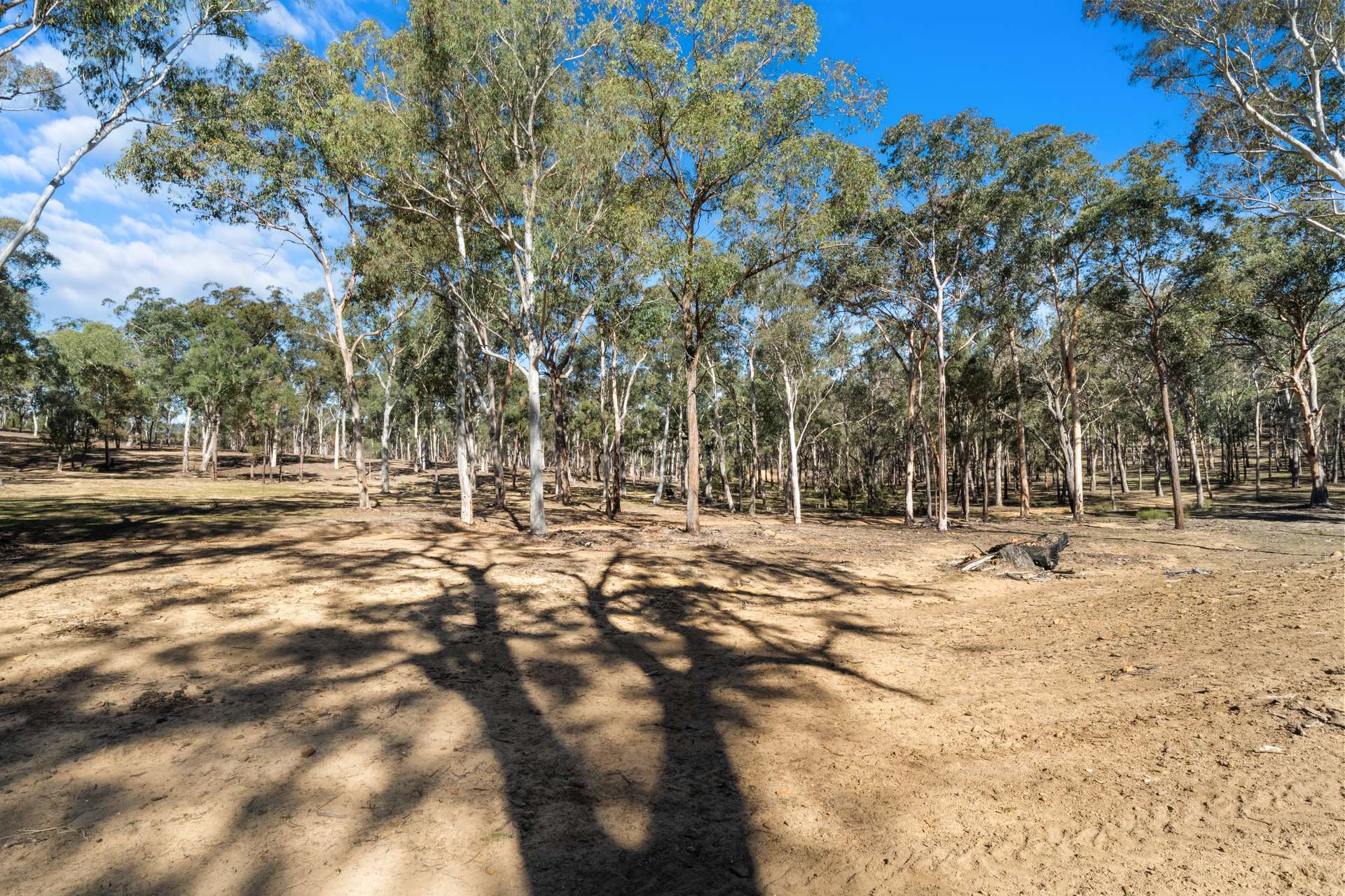 5716 Putty Road, Howes Valley For Sale by Farmbuy.com - image 32