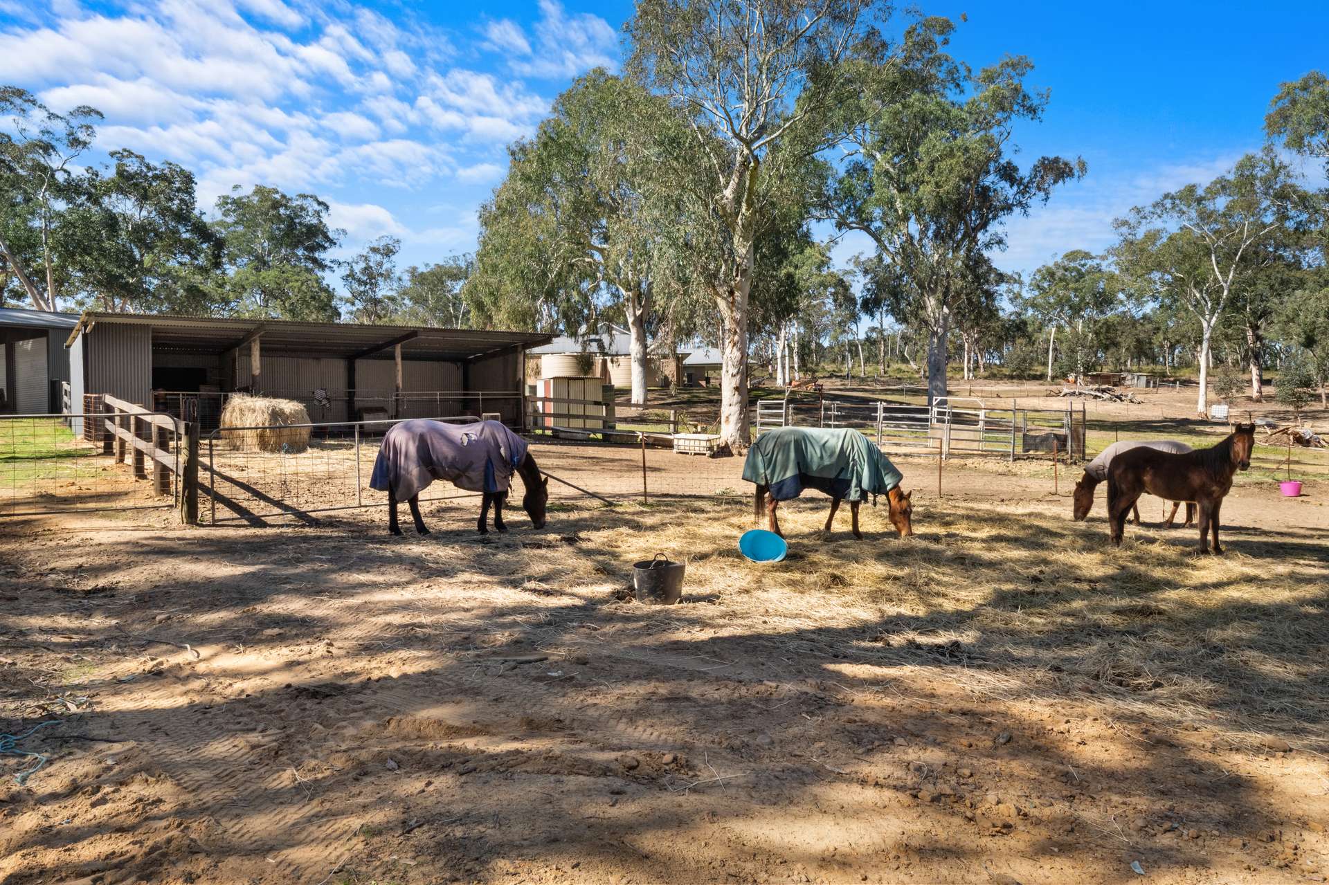 5716 Putty Road, Howes Valley For Sale by Farmbuy.com - image 24
