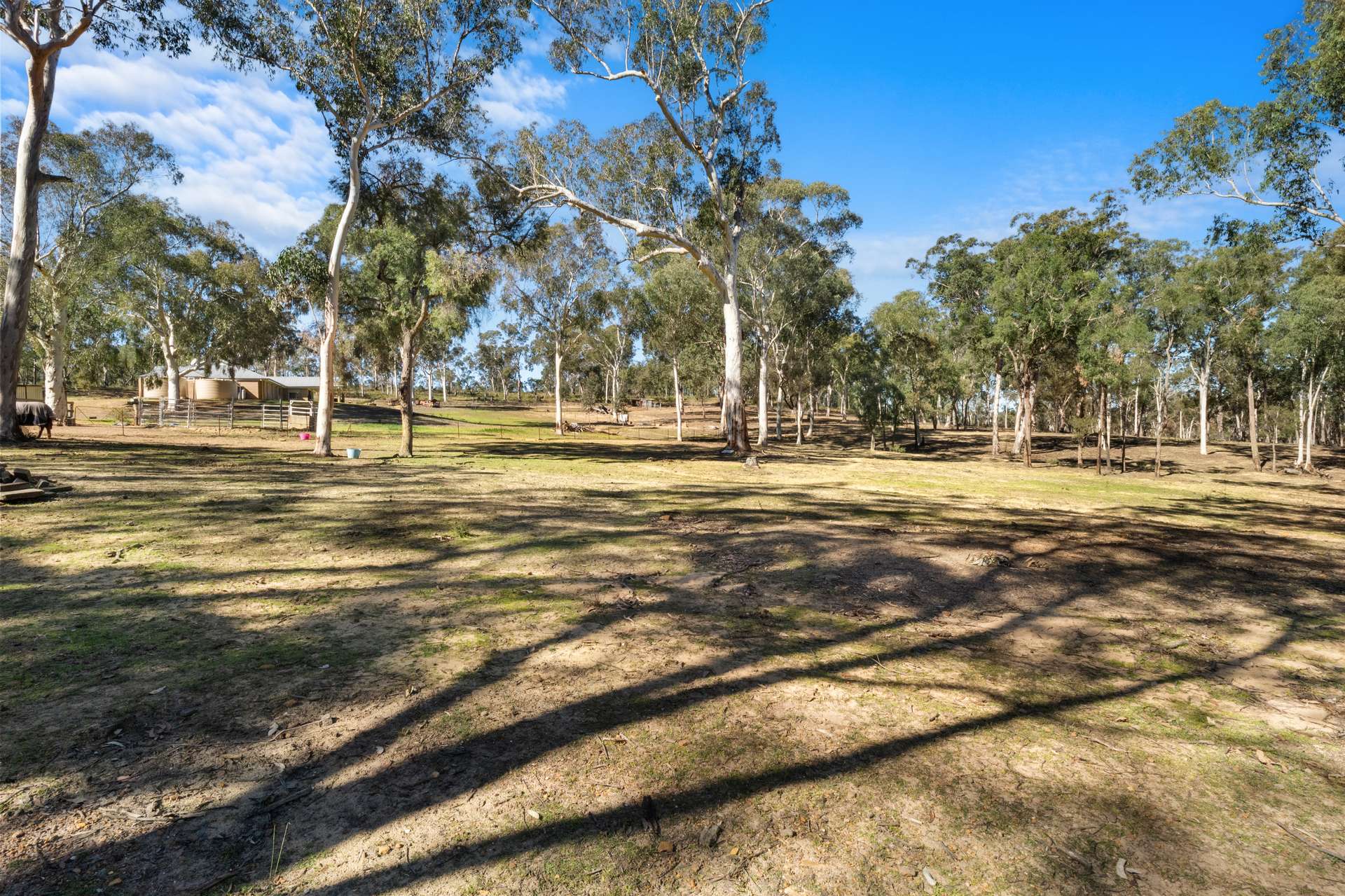 5716 Putty Road, Howes Valley For Sale by Farmbuy.com - image 33