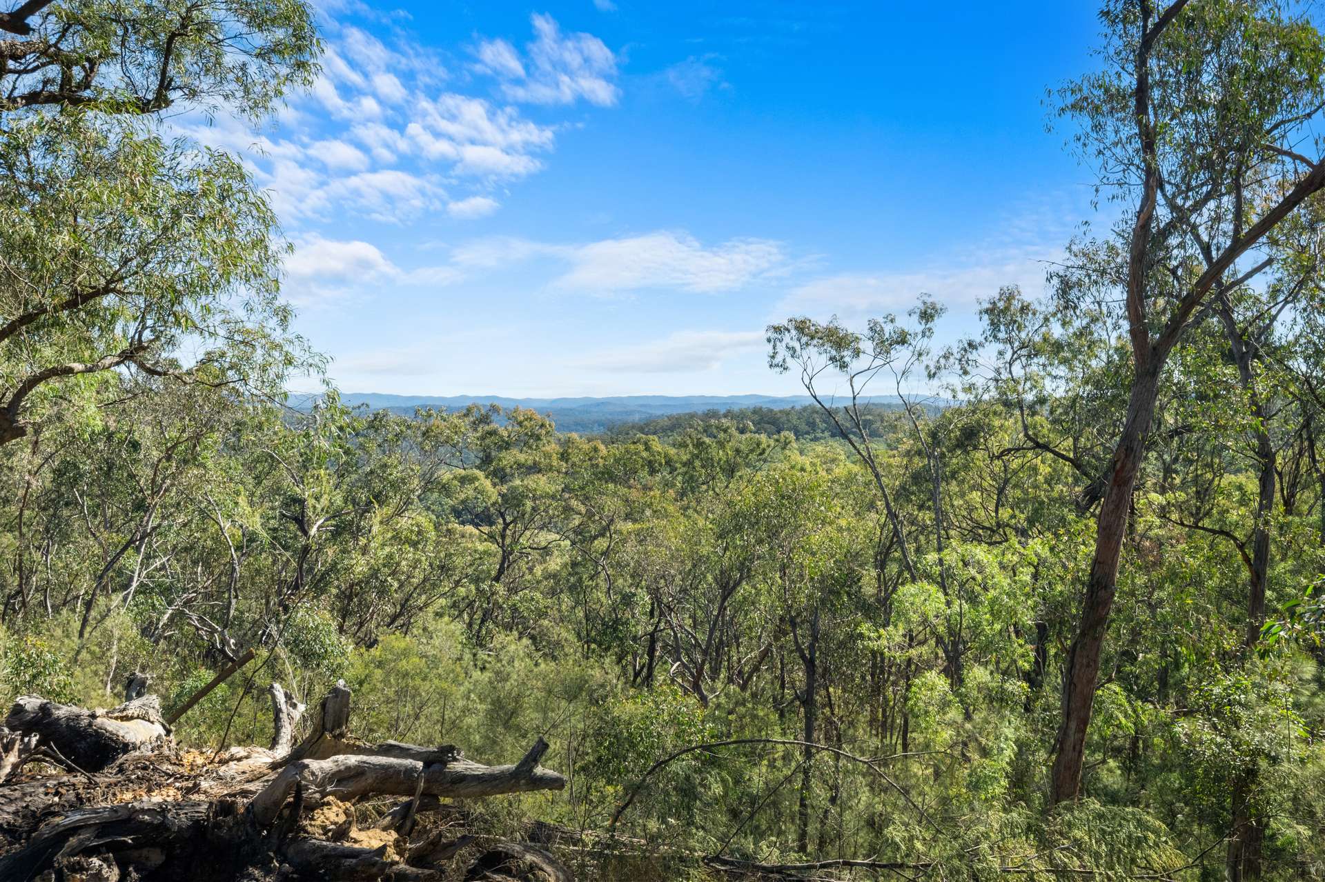 5716 Putty Road, Howes Valley For Sale by Farmbuy.com - image 35