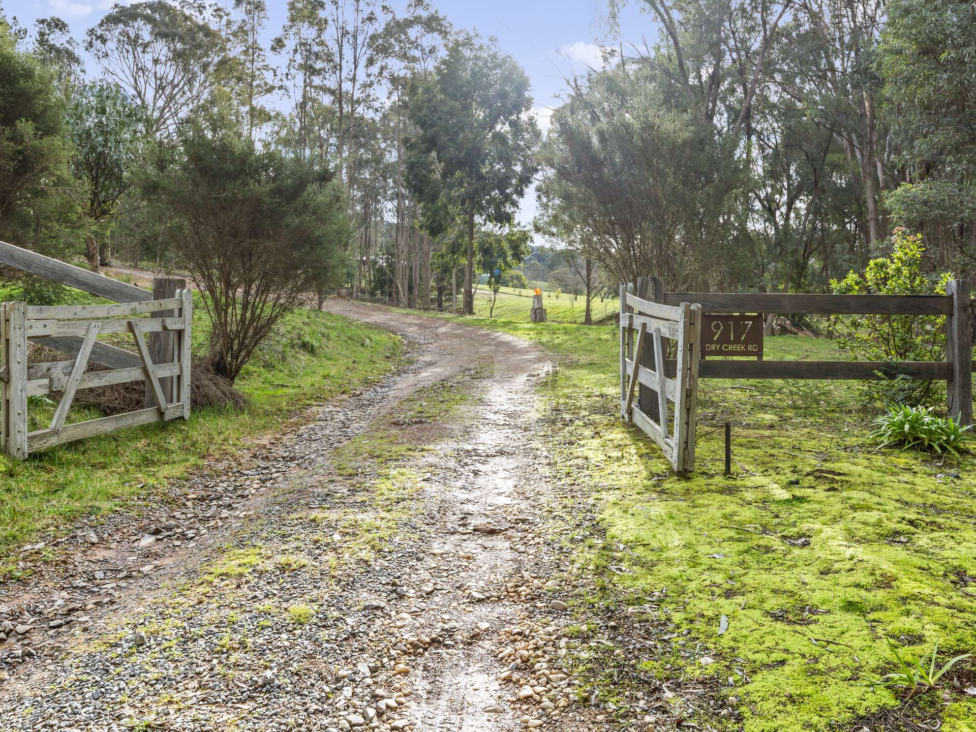 917 Dry Creek Road, Ancona For Sale by Farmbuy.com - image 28