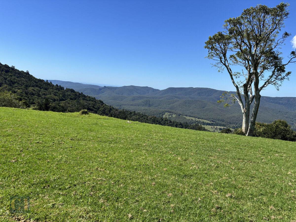 Lot 23 Binna Burra Road, Beechmont Sold by Farmbuy.com - image 2