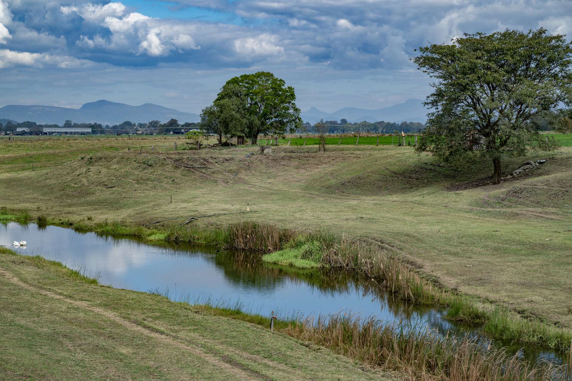 73-95 Trelawney Lane, Harrisville Auction by Farmbuy.com - image 19
