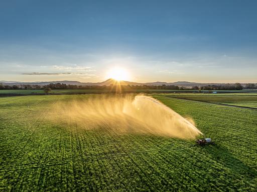 Farm Auction - QLD - Harrisville - 4307 - Highly Productive & Drought Proof in the Scenic Rim 