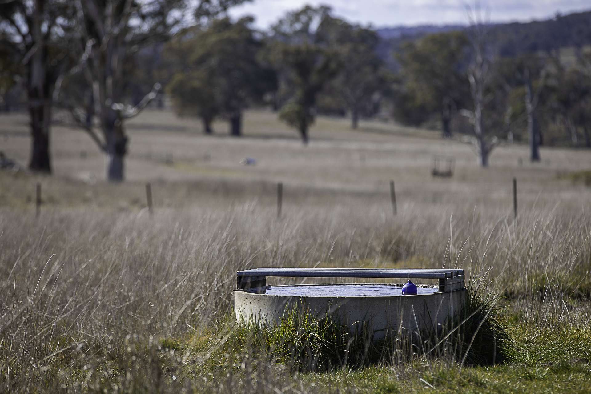 "Chippendale" 1337 Baldersleigh Road, Guyra Auction by Farmbuy.com - image 23