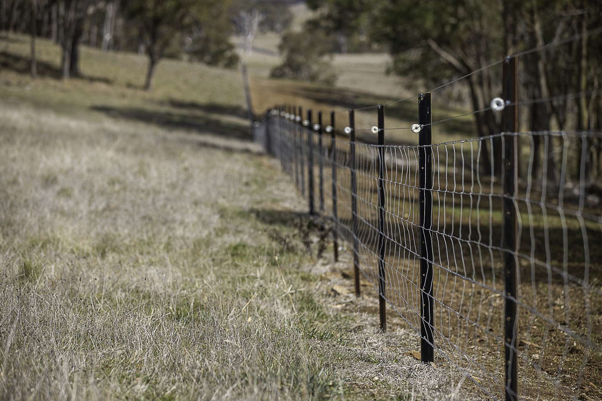 "Chippendale" 1337 Baldersleigh Road, Guyra Auction by Farmbuy.com - image 29