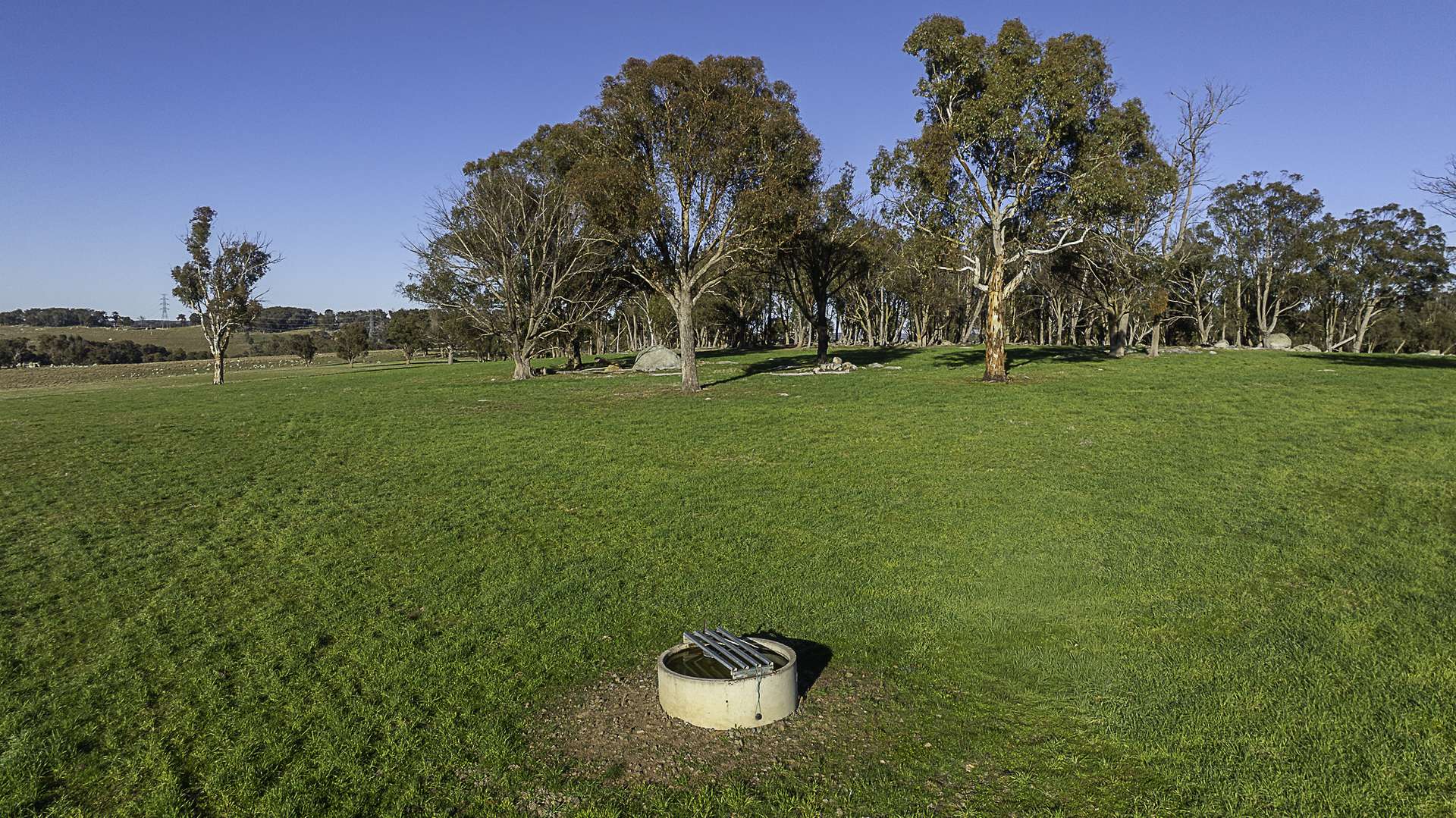 "Chippendale" 1337 Baldersleigh Road, Guyra Auction by Farmbuy.com - image 10