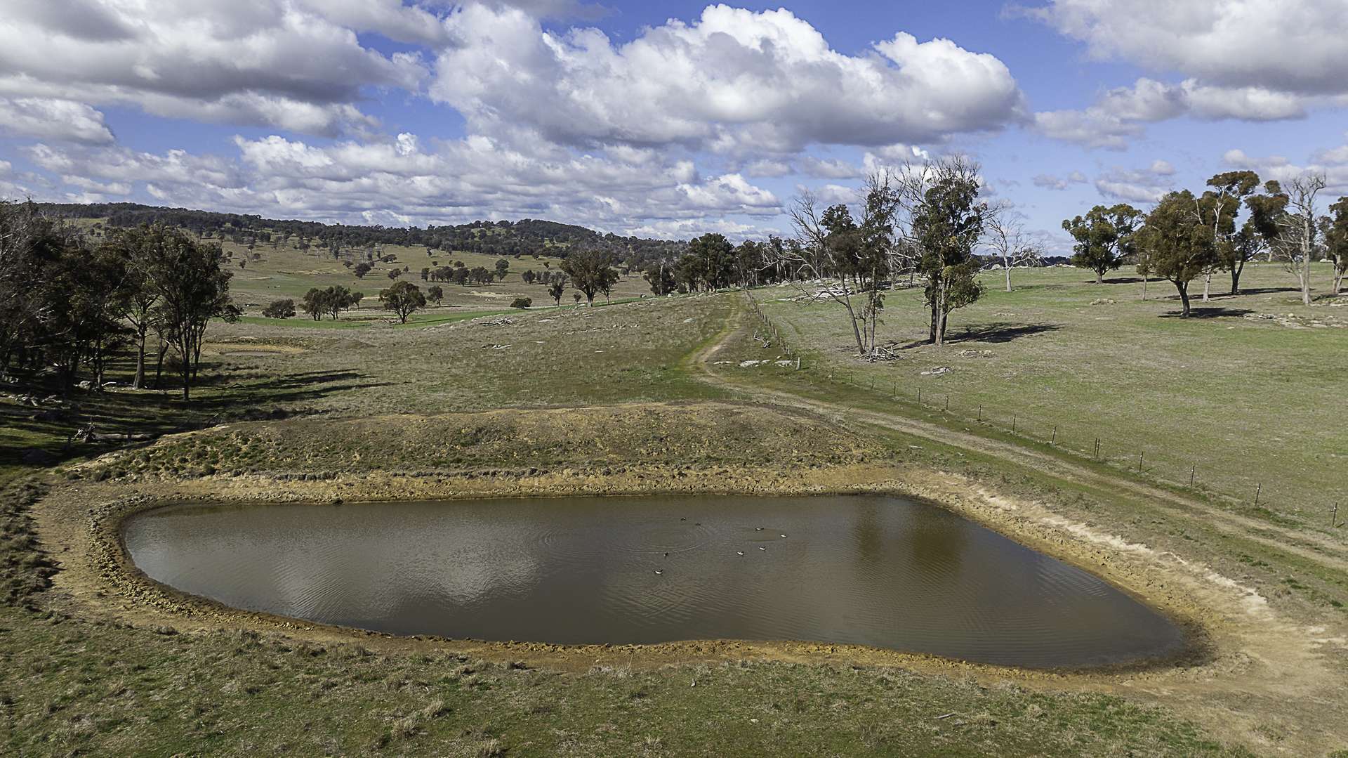 "Chippendale" 1337 Baldersleigh Road, Guyra Auction by Farmbuy.com - image 24